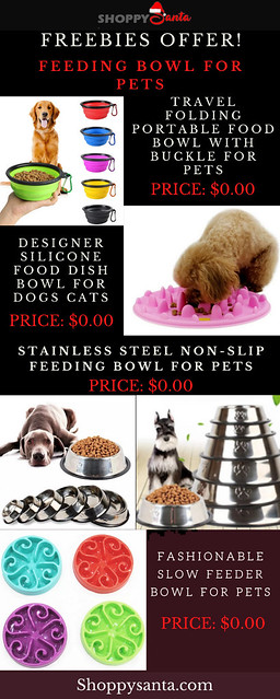 Silicone Pet Food Bowl: A Convenient and Eco-friendly Feeding Solution